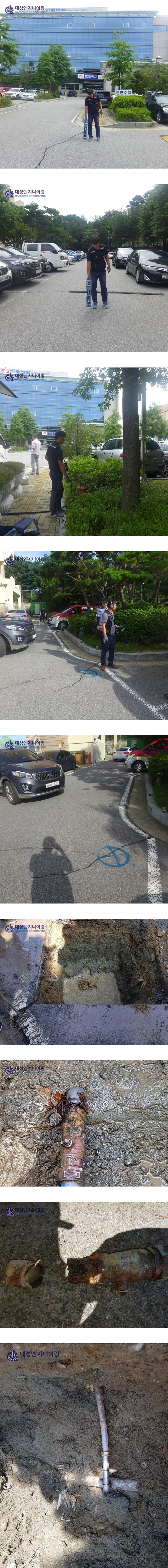P1040306-vert.jpg